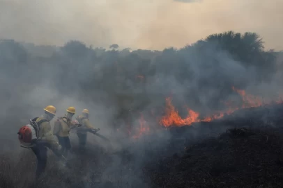 Brigadistas do Ibama tentam controlar fotos de queimada durante incêndio na Amazônia, em Apuí, no estado do Amazonas (foto de setembro de 2021). — Foto: REUTERS/Bruno Kelly/File Photo/File Photo/File Photo